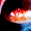  ,  -  13  2017        »