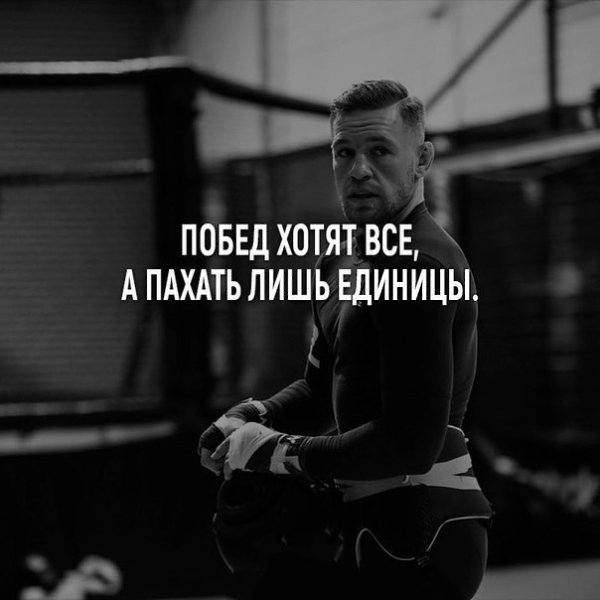 ������� ������ ������� ����� - 26 ���� 2018 � 01:38