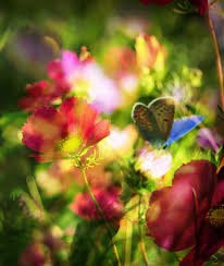 .. ���� ���� � ���� ����� ! .. - 6