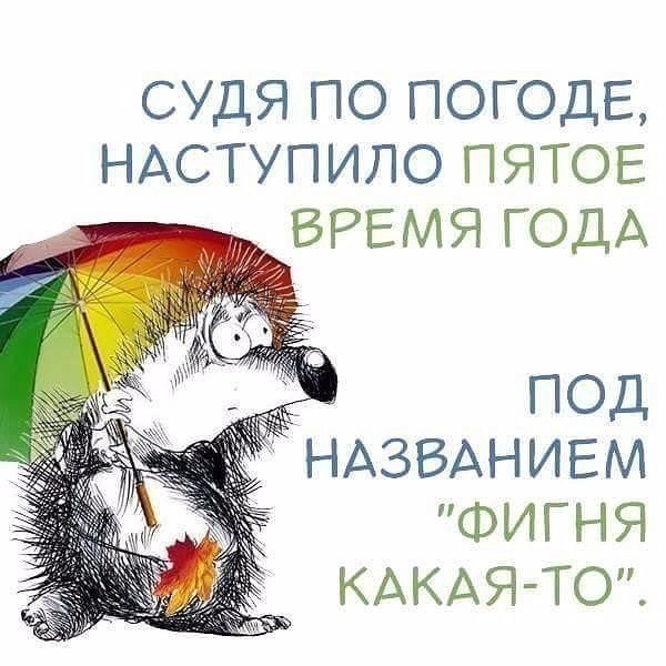     - 21  2017  03:49
