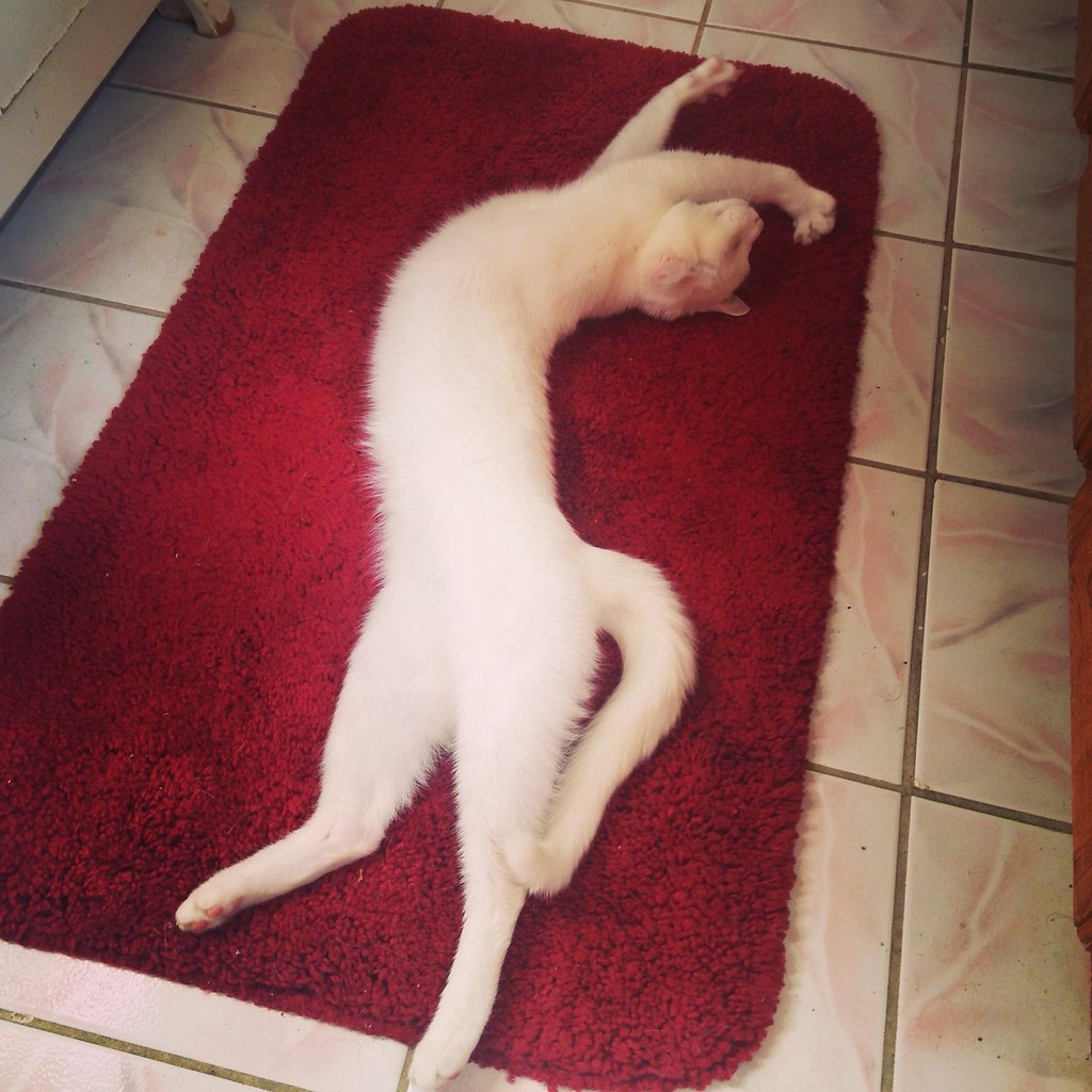 ��� � ������ ��������� ������� � ���� ������ ����������� ���������� ������� (������� ����������, ... - 2