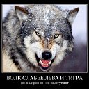 ���� �������, ������ - ��������� 30 ������ 2018 � ������ �������������