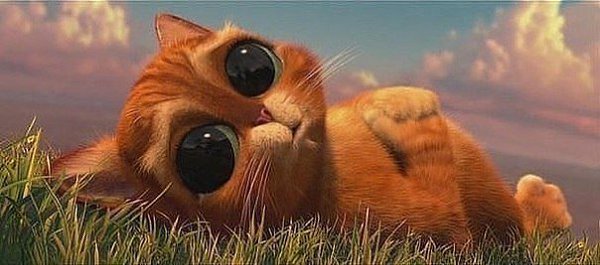 - Как за один день ты умудрилась столько накосячить? - Я рано встала)))