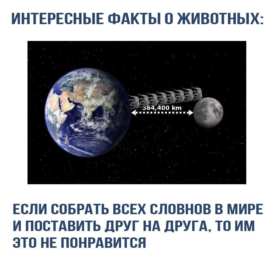    - 14  2018  03:50
