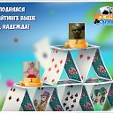 ���� �������, ��������, 74 ���� - ��������� 29 ����� 2018 � ������ �������� �������-�������