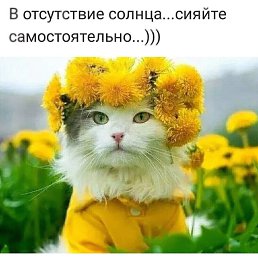 ���� ������, ����������� - ��������� 2 ���� 2018