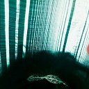 ���� �������, ����������, 35 ��� - ��������� 6 ����� 2018