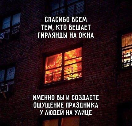 , , , ,  - 5  2017  03:34