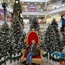 ���� ��������, ���������, 47 ��� - ��������� 26 ������ 2018 � ������ ���� ����������
