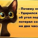 ���� ������, ������, 66 ��� - ��������� 29 ������ 2017 � ������ ������ ��������