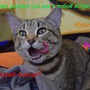 ���� �������, ������, 50 ��� - ��������� 15 ������ 2018 � ������ ������ ��������