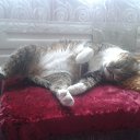  Saturn,  -  10  2018   