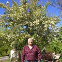  , , 58  -  29  2018   ߻