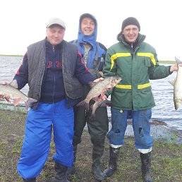 ���� ������, ���������, 43 ���� - ��������� 15 ���� 2018