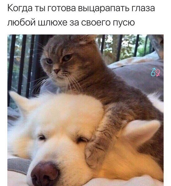    - 24  2018  04:11
