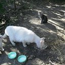 ��� ���� � ����� � ����� ������. �� ������� ���� ������ � ����!�