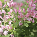  , , 68  -  23  2018    2018