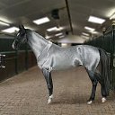 ���� Aleks, ����� ������� - ��������� 9 ���� 2018 � ������ �HORSES�