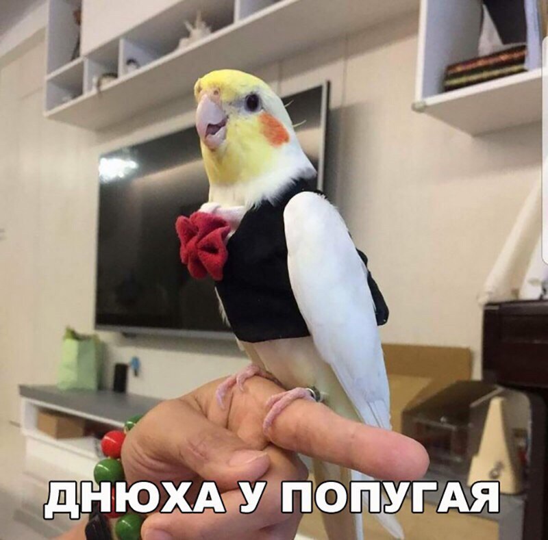 �������� �������� - 4 ������� 2018 � 21:45