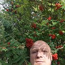 ���� Lari, �����, 51 ��� - ��������� 16 ������ 2018 � ������ ���� ����������
