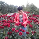 ���� Bonita, ������ - ��������� 23 ������ 2018 � ������ ���� ����������