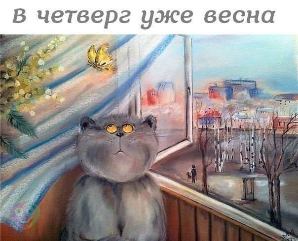   :D - 26  2018  03:49