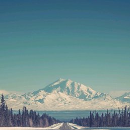 ���� �������, ���������, 43 ���� - ��������� 11 ������� 2018