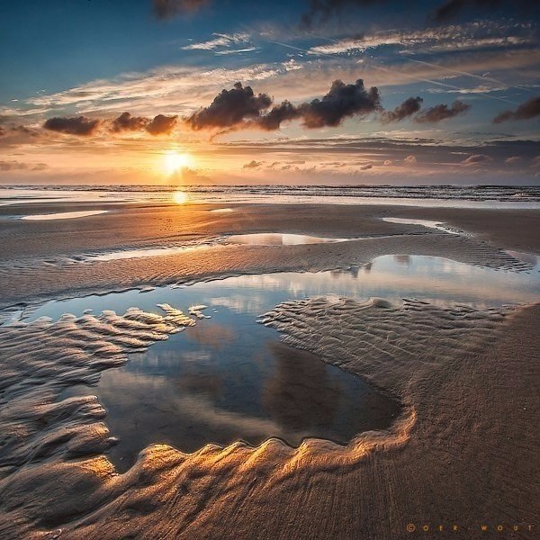 ��������� �������� �� ����������� Oer Wout.