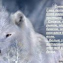 ���� Amarok, �������, 45 ��� - ��������� 21 ������ 2018 � ������ ���� ������