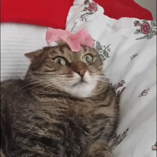      ... !!!!!!!!!!!  