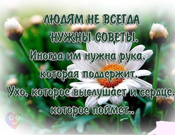  Ѩ  - 12  2018  20:16