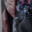  Olga, , 59  -  8  2018    