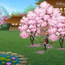 ���� Park Yeonmin, ��������� - ��������� 7 ���� 2018 � ������ �Tropikania�