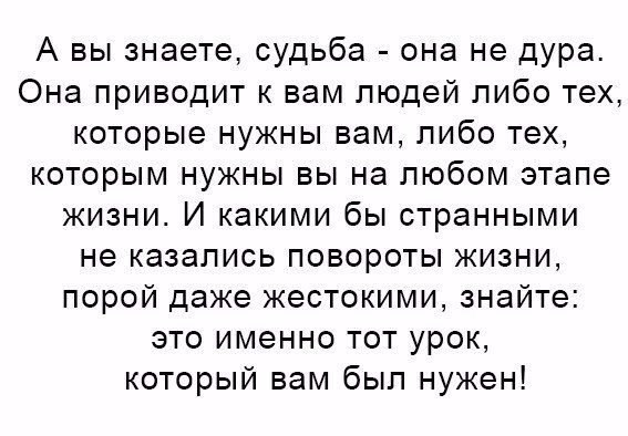 BEST | , ,  - 23  2017  07:29