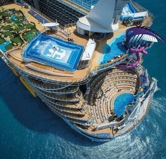 Harmony of the Seas       ,    .