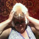 ���� �������, ������, 68 ��� - ��������� 9 ������� 2018 � ������ ���� ����������