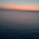 ���� ����, ������, 59 ��� - ��������� 22 ����� 2018 � ������ ���� ����������