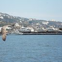 ���� ������, ����������, 51 ��� - ��������� 18 ����� 2018