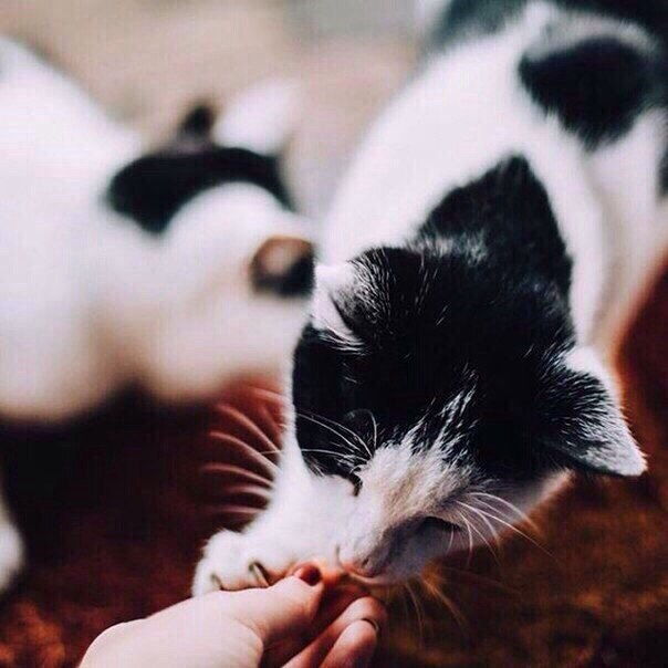       - 16  2018  04:07 - 5