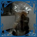 ���� �����, ������, 51 ��� - ��������� 19 ����� 2018