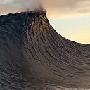 ���� ������, �����������, 38 ��� - ��������� 17 ������� 2018 � ������ ���� ����������