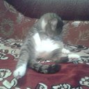  Saturn,  -  10  2018   