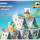 ���� ������, ���� - ��������� 25 ������ 2017 � ������ �������� �������-�������