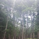  Andreas, , 49  -  19  2018