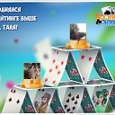 ���� ����, ���������, 61 ��� - ��������� 2 ������� 2017 � ������ �������� �������-�������