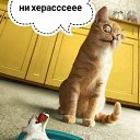 ���� ����, ������������, 44 ���� - ��������� 19 ����� 2018 � ������ ���� ����������