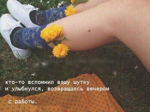   ,        , : - 4