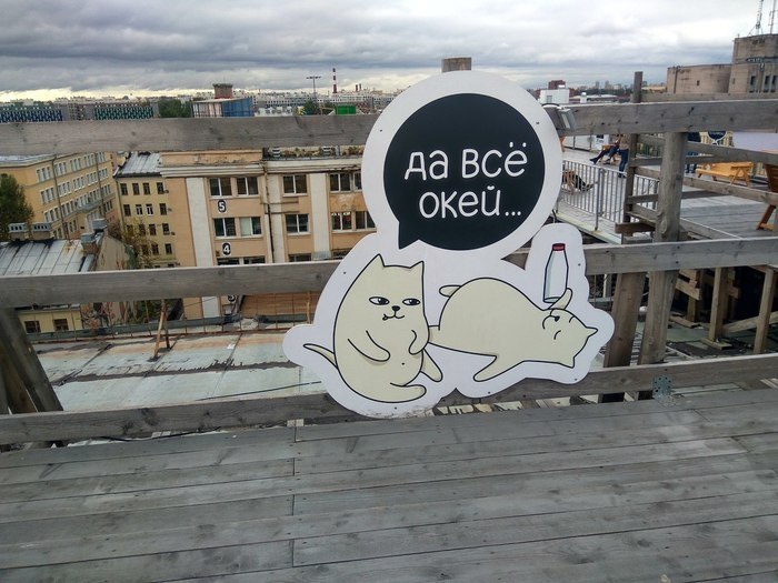 ,  - 6