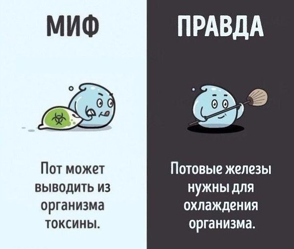 10    ,   . - 10