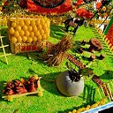  ,  -  19  2017   2018  һ